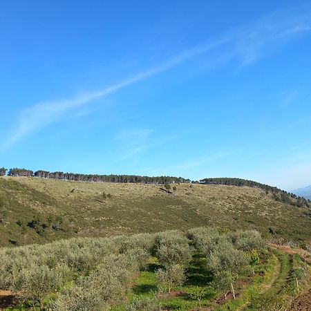 Vila Dean Μπεράτ Εξωτερικό φωτογραφία