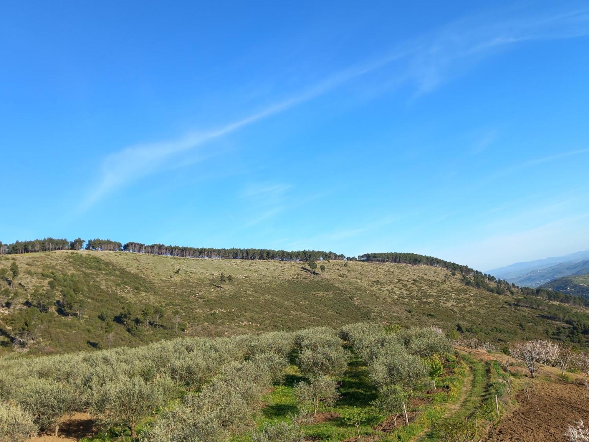 Vila Dean Μπεράτ Εξωτερικό φωτογραφία