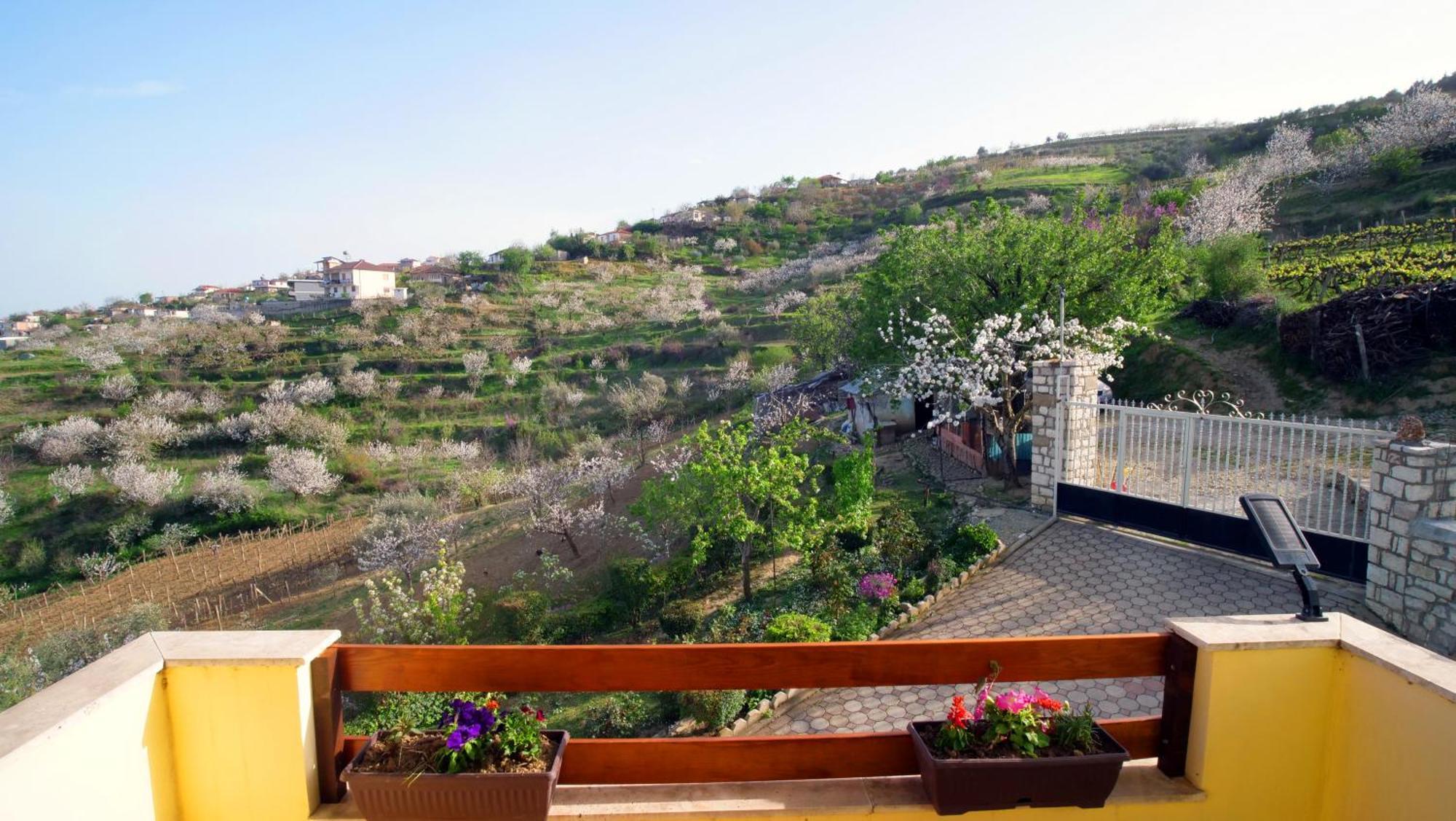 Vila Dean Μπεράτ Εξωτερικό φωτογραφία