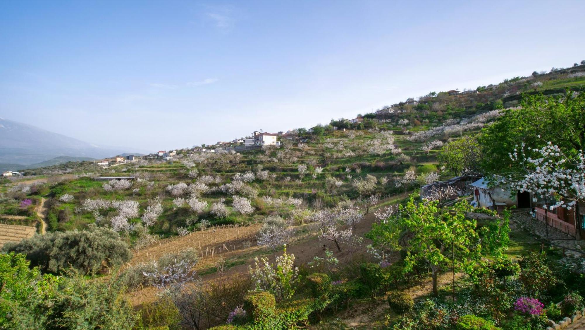 Vila Dean Μπεράτ Εξωτερικό φωτογραφία