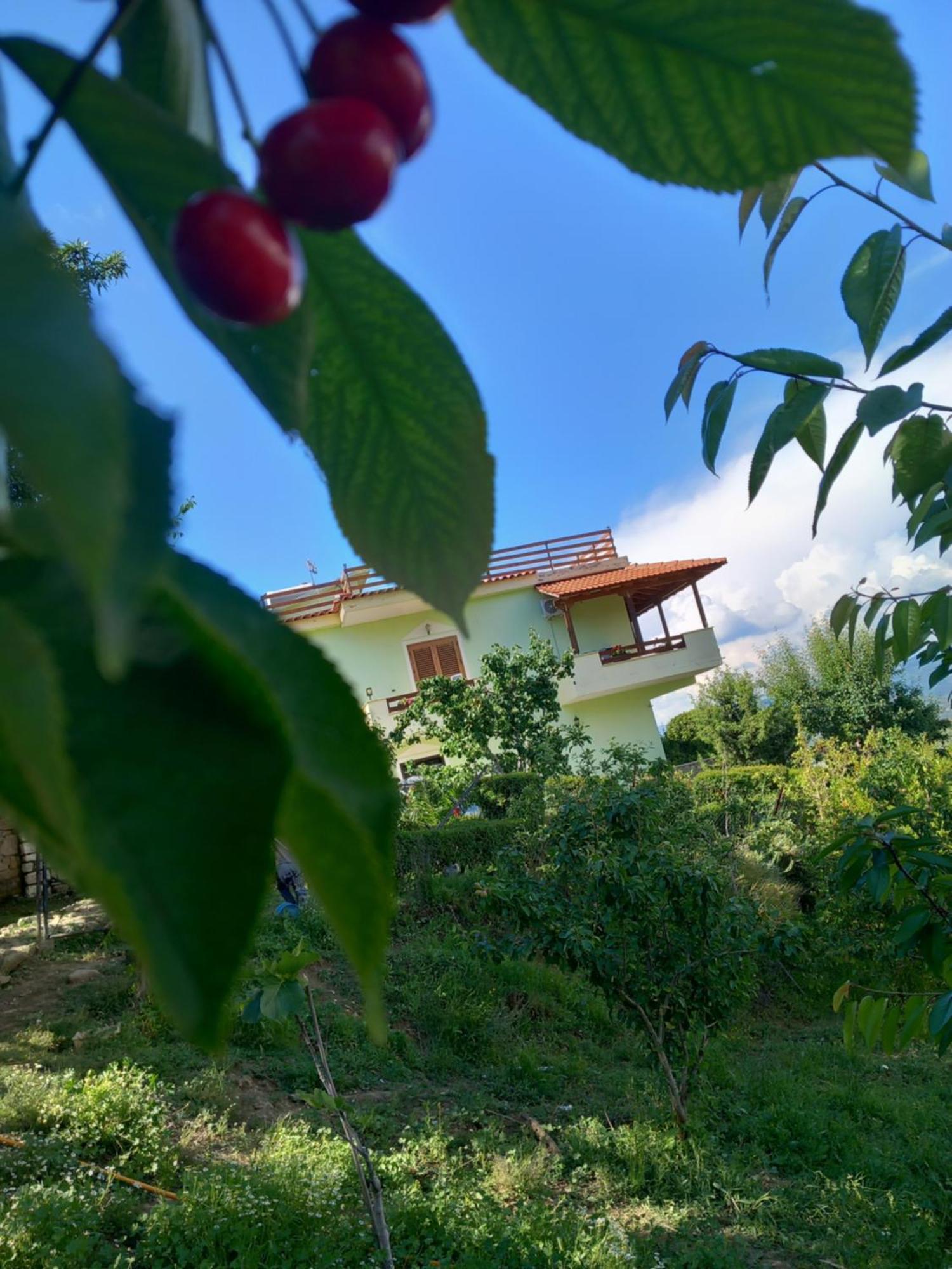 Vila Dean Μπεράτ Εξωτερικό φωτογραφία